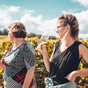 La Vigne Blanche